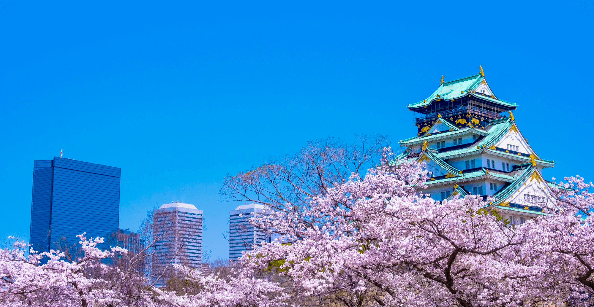 映ろう季節のように、確かな価値を未来へ。